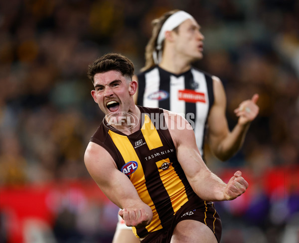 AFL 2025 Round 22 - Hawthorn v Collingwood - A-61170438