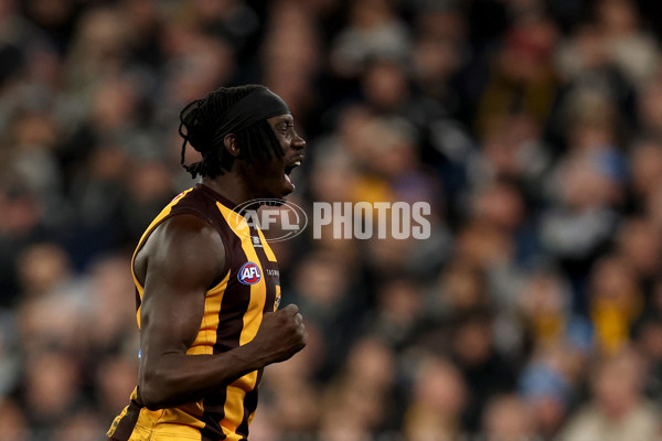 AFL 2025 Round 22 - Hawthorn v Collingwood - A-61171772