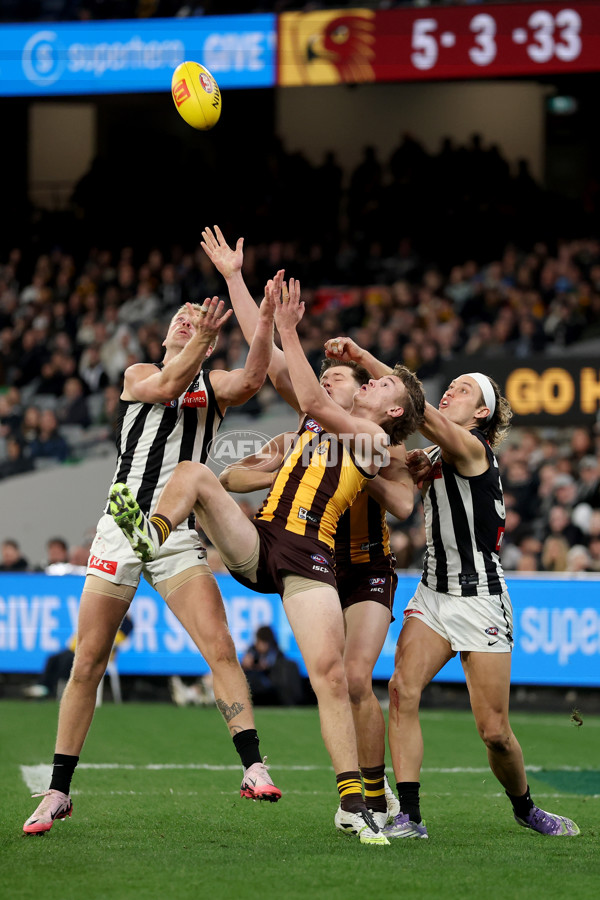 AFL 2025 Round 22 - Hawthorn v Collingwood - A-61171778