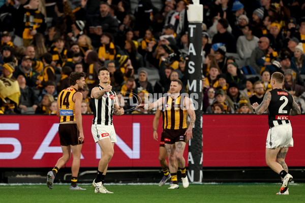 AFL 2025 Round 22 - Hawthorn v Collingwood - A-61171780