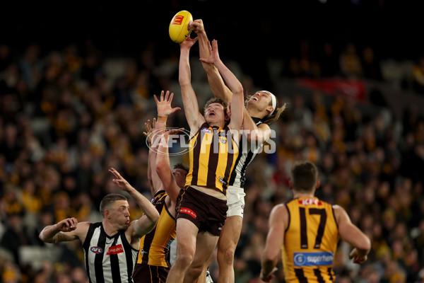 AFL 2025 Round 22 - Hawthorn v Collingwood - A-61171783