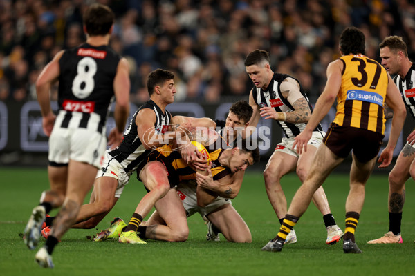 AFL 2025 Round 22 - Hawthorn v Collingwood - A-61171810
