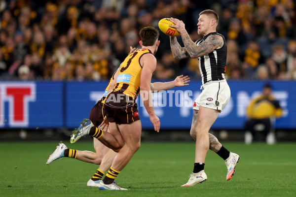 AFL 2025 Round 22 - Hawthorn v Collingwood - A-61171817