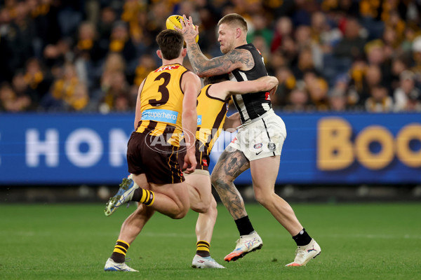 AFL 2025 Round 22 - Hawthorn v Collingwood - A-61171818