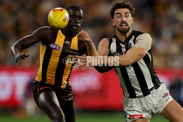AFL 2025 Round 22 - Hawthorn v Collingwood - A-61171820