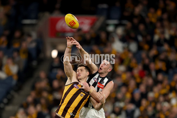 AFL 2025 Round 22 - Hawthorn v Collingwood - A-61171834