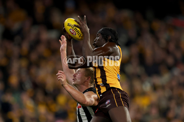 AFL 2025 Round 22 - Hawthorn v Collingwood - A-61171838