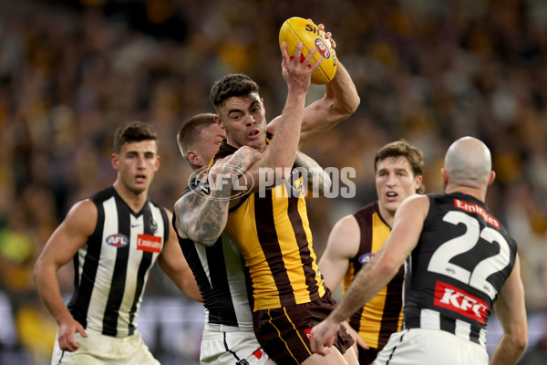 AFL 2025 Round 22 - Hawthorn v Collingwood - A-61171841