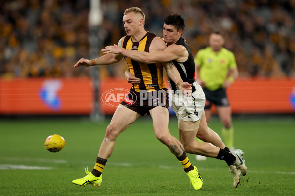 AFL 2025 Round 22 - Hawthorn v Collingwood - A-61171853
