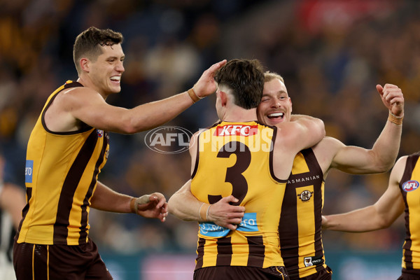 AFL 2025 Round 22 - Hawthorn v Collingwood - A-61171854