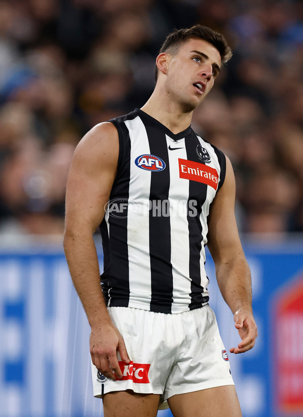 AFL 2025 Round 22 - Hawthorn v Collingwood - A-61174096