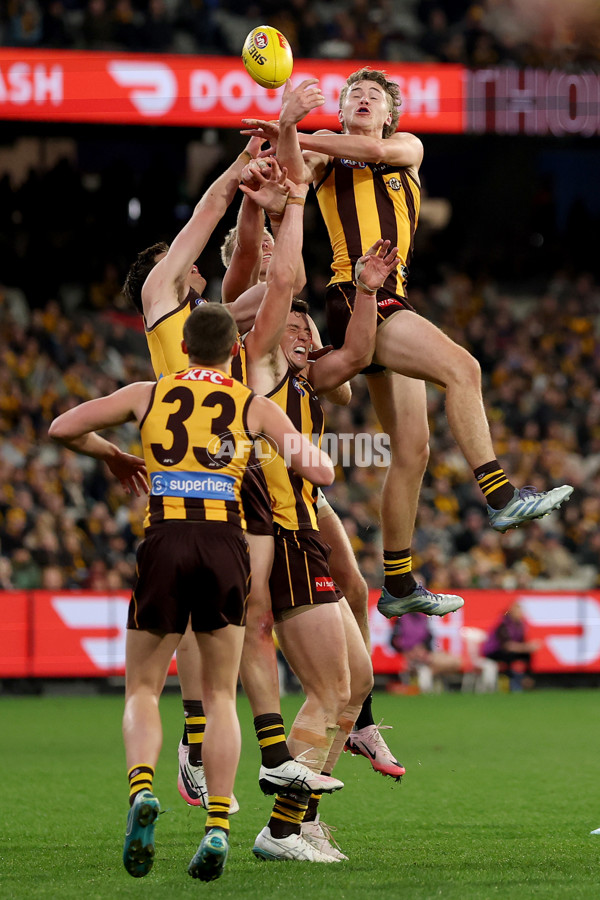 AFL 2025 Round 22 - Hawthorn v Collingwood - A-61174098