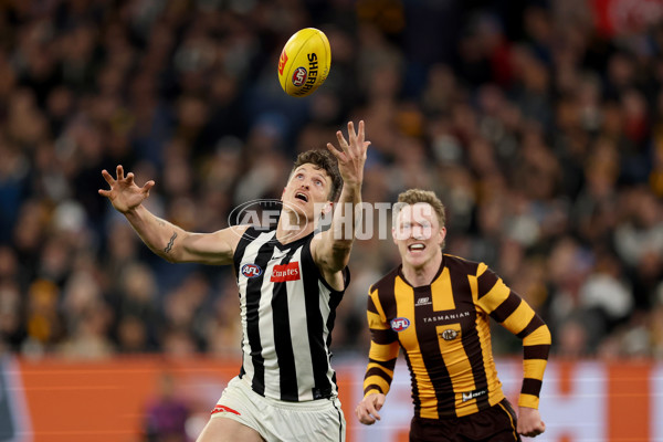 AFL 2025 Round 22 - Hawthorn v Collingwood - A-61174114