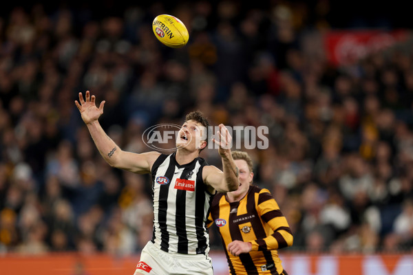 AFL 2025 Round 22 - Hawthorn v Collingwood - A-61174115