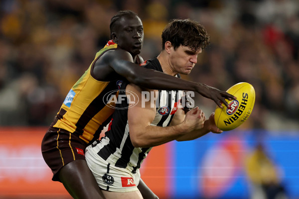 AFL 2025 Round 22 - Hawthorn v Collingwood - A-61174122