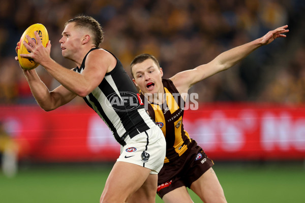 AFL 2025 Round 22 - Hawthorn v Collingwood - A-61174138