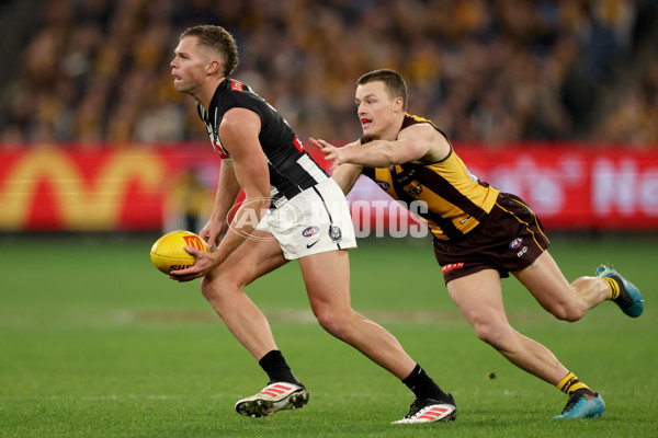 AFL 2025 Round 22 - Hawthorn v Collingwood - A-61174139