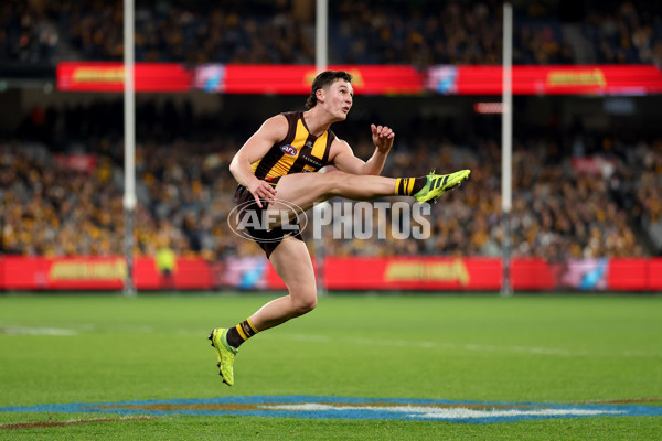 AFL 2025 Round 22 - Hawthorn v Collingwood - A-61174142