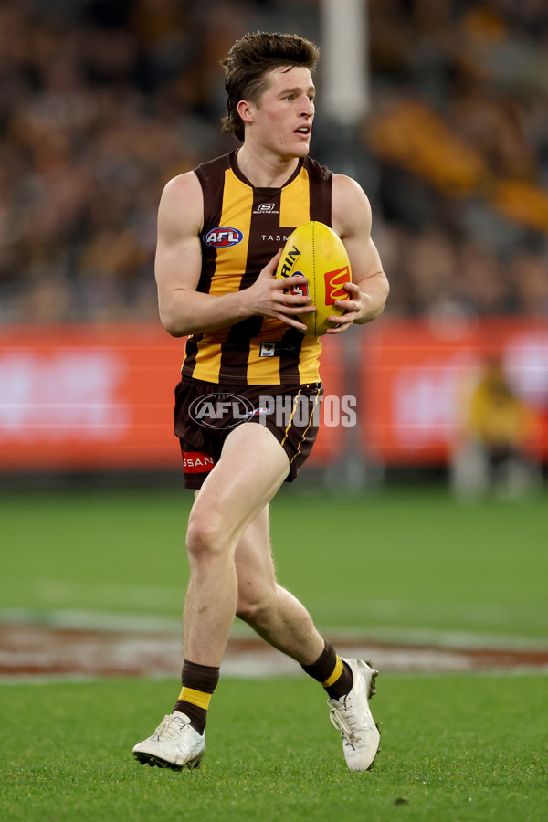 AFL 2025 Round 22 - Hawthorn v Collingwood - A-61174144