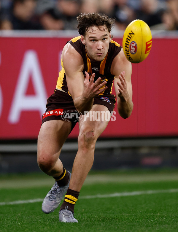 AFL 2025 Round 22 - Hawthorn v Collingwood - A-61174146