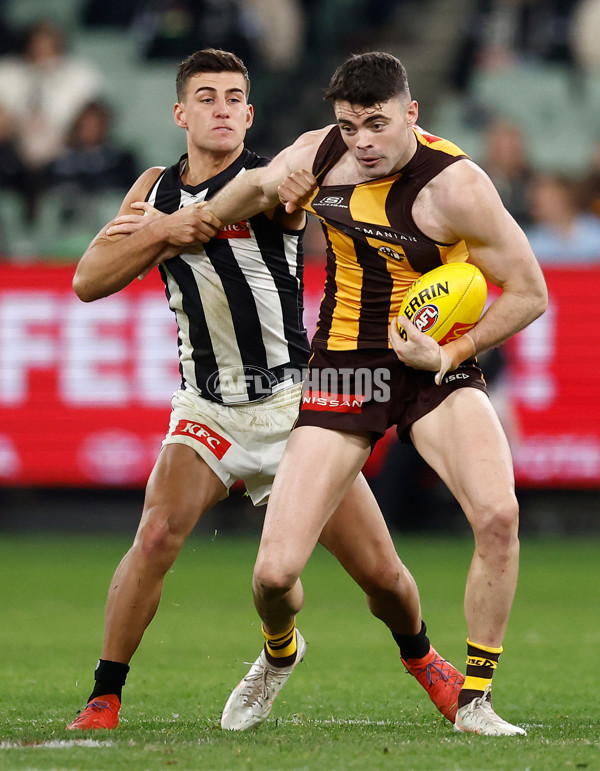 AFL 2025 Round 22 - Hawthorn v Collingwood - A-61174153