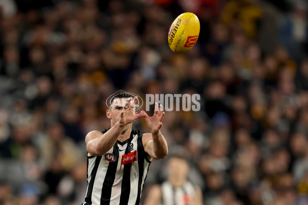 AFL 2025 Round 22 - Hawthorn v Collingwood - A-61176311