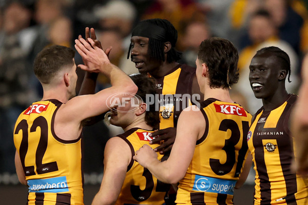 AFL 2025 Round 22 - Hawthorn v Collingwood - A-61176314