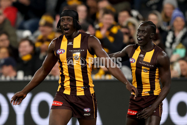 AFL 2025 Round 22 - Hawthorn v Collingwood - A-61176315