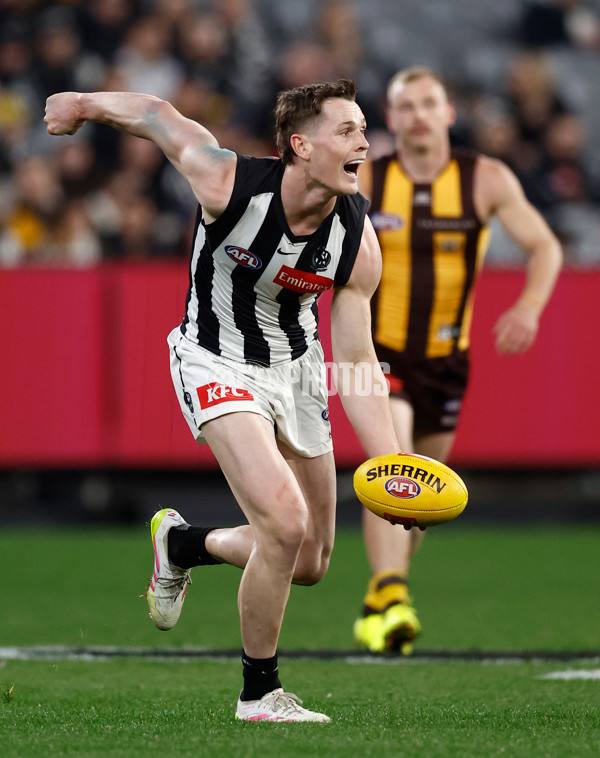 AFL 2025 Round 22 - Hawthorn v Collingwood - A-61176324