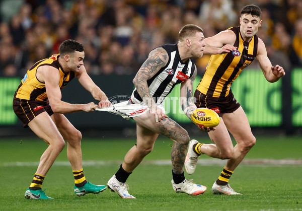 AFL 2025 Round 22 - Hawthorn v Collingwood - A-61176327