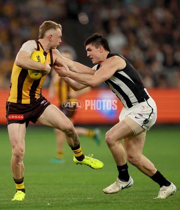 AFL 2025 Round 22 - Hawthorn v Collingwood - A-61176342