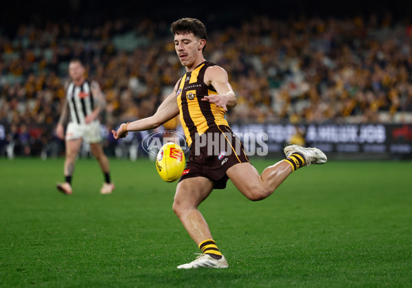 AFL 2025 Round 22 - Hawthorn v Collingwood - A-61178773
