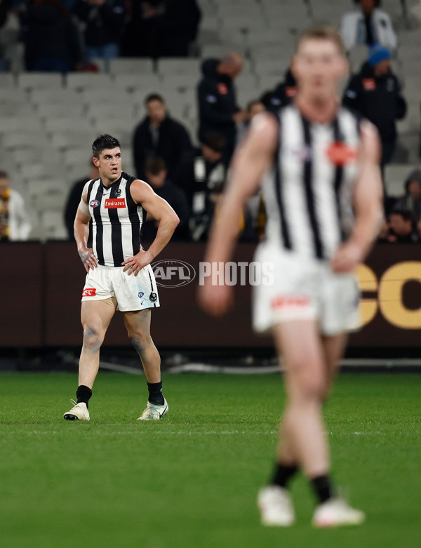 AFL 2025 Round 22 - Hawthorn v Collingwood - A-61180150
