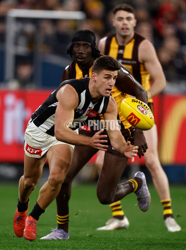 AFL 2025 Round 22 - Hawthorn v Collingwood - A-61180158