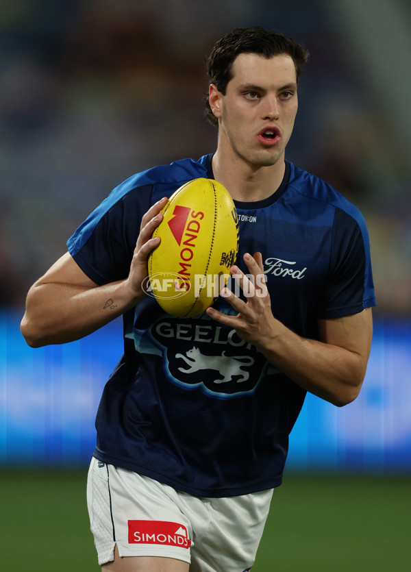 AFL 2025 Round 22 - Geelong v Essendon - A-61180211