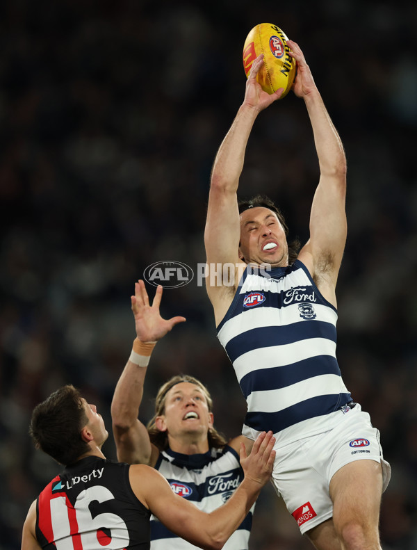 AFL 2025 Round 22 - Geelong v Essendon - A-61180228
