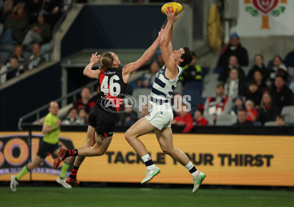 AFL 2025 Round 22 - Geelong v Essendon - A-61183511