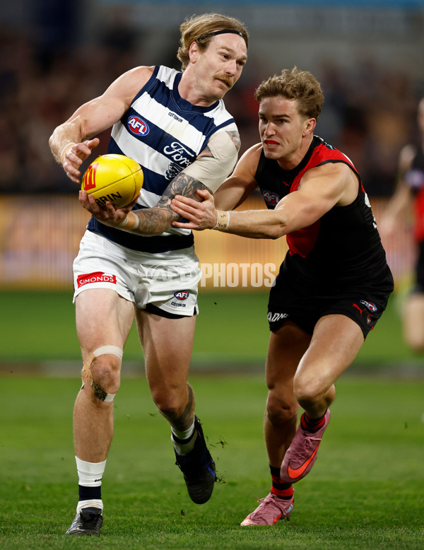 AFL 2025 Round 22 - Geelong v Essendon - A-61183513