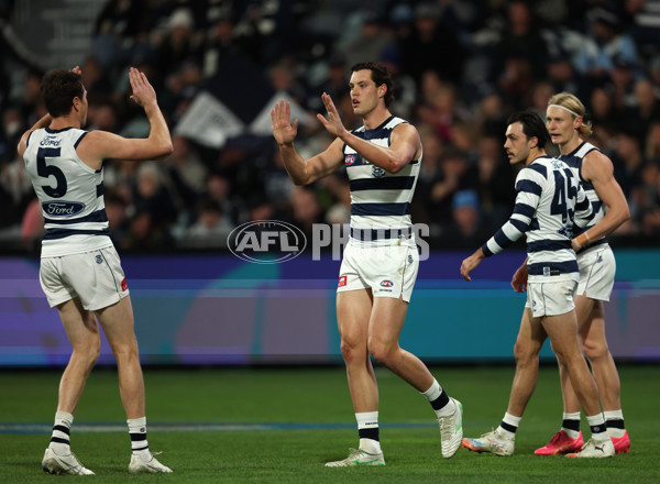 AFL 2025 Round 22 - Geelong v Essendon - A-61183517