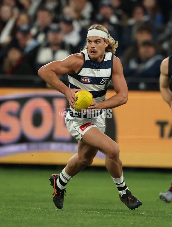AFL 2025 Round 22 - Geelong v Essendon - A-61183533