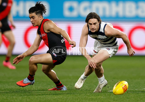 AFL 2025 Round 22 - Geelong v Essendon - A-61183541