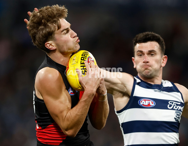 AFL 2025 Round 22 - Geelong v Essendon - A-61183552