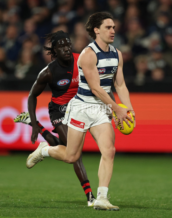 AFL 2025 Round 22 - Geelong v Essendon - A-61183556