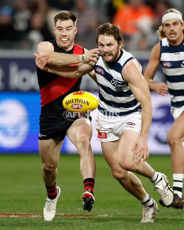 AFL 2025 Round 22 - Geelong v Essendon - A-61183577