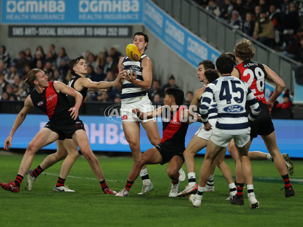 AFL 2025 Round 22 - Geelong v Essendon - A-61185096