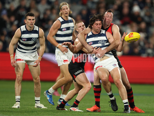 AFL 2025 Round 22 - Geelong v Essendon - A-61185129