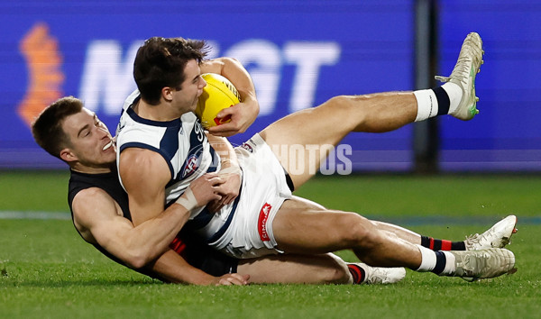 AFL 2025 Round 22 - Geelong v Essendon - A-61185132