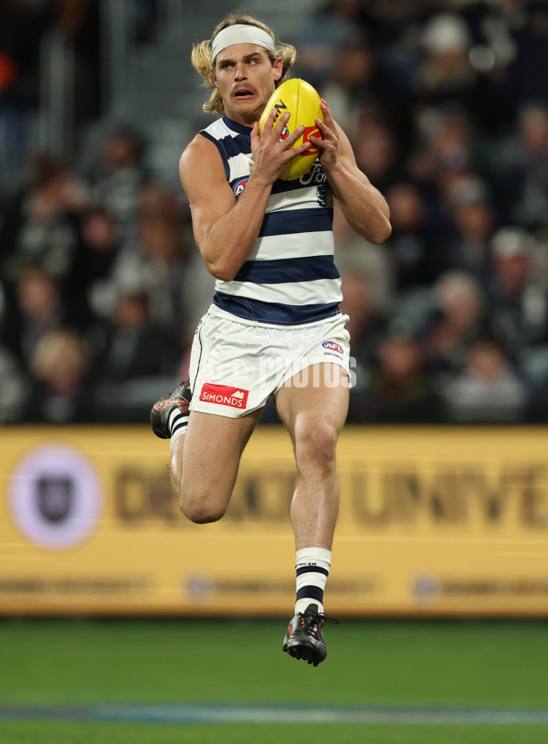 AFL 2025 Round 22 - Geelong v Essendon - A-61185152