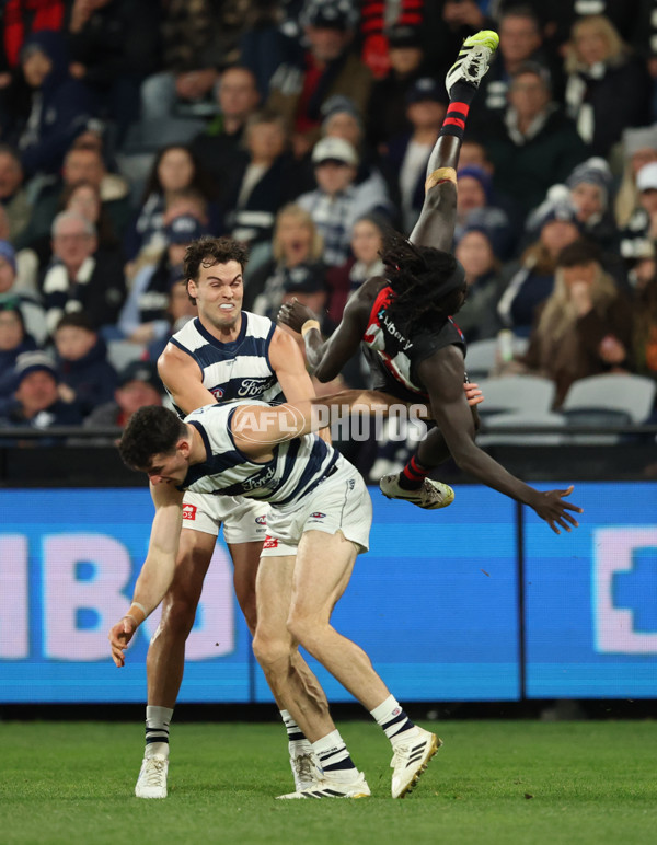 AFL 2025 Round 22 - Geelong v Essendon - A-61185178