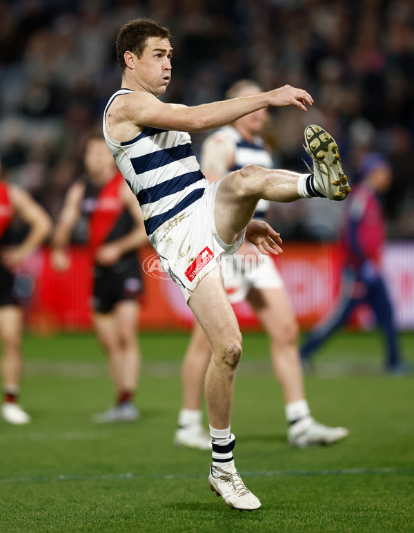 AFL 2025 Round 22 - Geelong v Essendon - A-61185181